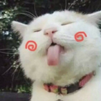 Jodora-'s Avatar'