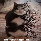 YaProstoSkazal's Avatar'