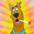 konou.'s Avatar'