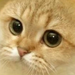 Mark on frag's Avatar'