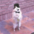 ForAbby's Avatar'