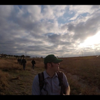 Pusforl1fe's Avatar'