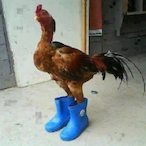 OG.LongNeck's Avatar'
