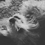 WineyWhisper's Avatar'