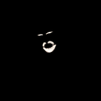 DriedSquid.'s Avatar'