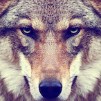 Gr4vityz3ro's Avatar