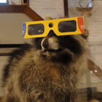 BlitzyJr's Avatar'