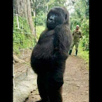 zackpente7's Avatar'