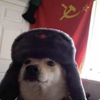 zncikafa's Avatar'