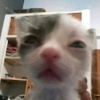 jmmy1's Avatar'
