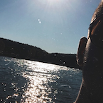 crossarrow2000's Avatar'