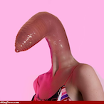 OdioTrapani's Avatar'