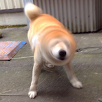 yutakako's Avatar'
