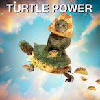 TurtleTanker222's Avatar'
