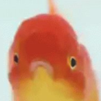 StickyWet's Avatar'
