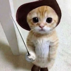 Hickenbottom.'s Avatar'