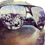RoYaLSIlver01's Avatar'