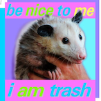 tr4sh_opossum's Avatar'