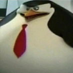 williamkhan213's Avatar'