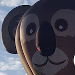 Koala_Balloon's Avatar'