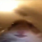 Jerimy246's Avatar'