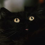 DeD_Lucifer's Avatar'