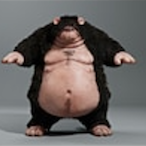 Fasloi's Avatar'