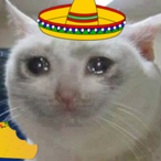 ElSchmuser's Avatar'