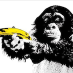 GeminiBalls's Avatar'
