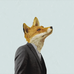 Mr-fox233's Avatar'