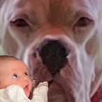 Sargent_Lukk's Avatar'