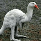 JordsTheGreat's Avatar'