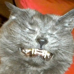 TheSwampDwarf's Avatar'