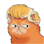 PHOENEXD's Avatar'