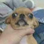 Lf_guns_07's Avatar'