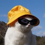 NoggyNogg's Avatar'