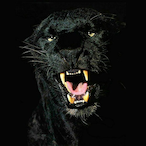 iUravity's Avatar'