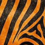 xFatpenguin77's Avatar'