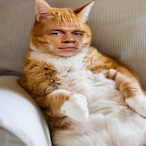GapedGoober's Avatar'