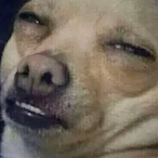 Tintifax8765's Avatar'