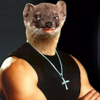 Vin-Weasel's Avatar'