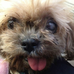 stopswingME's Avatar'