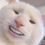 Isaacydelrey's Avatar'