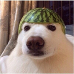 JustinBobette's Avatar'