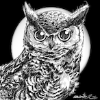 NightOwl2658's Avatar'