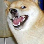 Doggo Katt's Avatar'