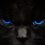 BullShT-'s Avatar'