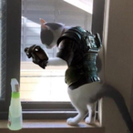 G.A.R.L.I.C.'s Avatar'