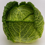 Lioban.-.'s Avatar'