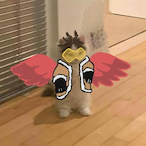 JLaid78's Avatar'
